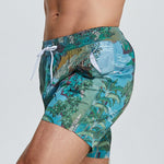 Men’s Summer Printed Quick Drying Board Shorts