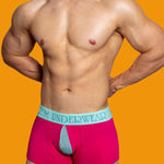 2 Pack Men's Mesh Transparent Open-Cut Cotton Mesh Trunks