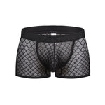 2 Pack Men's Sexy Transparent Mesh Trunks