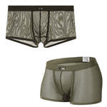 Men's Sexy Transparent Mesh Trunks