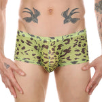 4 Pack Leopard Print See-through Mesh Trunks