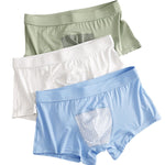 2 Pack Men's Ice Silk Antibacterial Mid-Rise Day-Long Comfort Soft Trunks