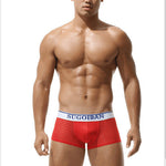 Men's Sexy Transparent Striped Trunks