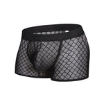 2 Pack Men's Sexy Transparent Mesh Trunks