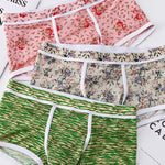 2-pack Men's Mesh Elephant Nose Transparent Boxer Briefs