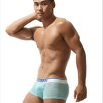 Men's Sexy Transparent Striped Trunks
