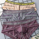 2 Pack Men's Ice-Silk Stretch Sports Briefs with 3D Pouch