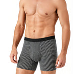 3 Pack Men's Ice Silk Antibacterial Odor-Control Day-Long Comfort Boxer Briefs