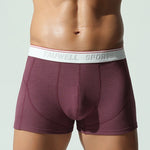 2 Pack Men's Mid-Rise Solid Color Seamless Soft & Comfort Stretch Fit Trunks