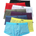 Men's Sexy Transparent Mesh Trunks