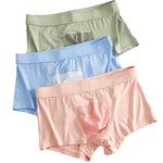 2 Pack Men's Ice Silk Antibacterial Mid-Rise Day-Long Comfort Soft Trunks