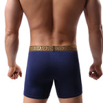 2 Pack Men's Sexy Sports Ice Silk Boxer Briefs