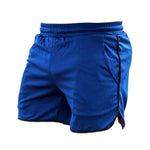 3 Pack Men's Quick-Dry & Breathable Mesh Sport Activewear Shorts