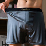 2 Pack Men's Antibacterial Breathable Loose Fit Soft Home Shorts