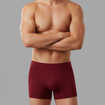 2 Pack Men's Seamless Ice Silk Smooth Touch Antibacterial Boxer Briefs