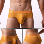 4 Pack Men's Breathable Mesh Solid Sheer & Sexy Wide Waistband Briefs