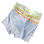 4 Pack Men's Soft-Touch Cotton Antibacterial All-Season Daily Stretch Luxury Trunks