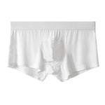 2 Pack Men's Ice Silk Antibacterial Mid-Rise Day-Long Comfort Soft Trunks