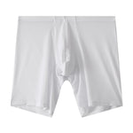 2 Pack Men's Mesh Transparent Sports Fitness Loose Boxer Briefs