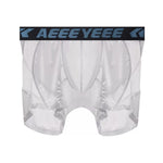 2 Pack Men's Workout Anti-Chafing Quick-Dry & Breathable Mesh Stretch Boxer Briefs