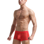 2 Pack Men's Sexy Transparent Mesh Trunks