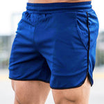 3 Pack Men's Quick-Dry & Breathable Mesh Sport Activewear Shorts