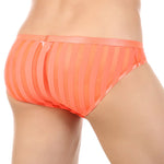 3 Pack Men's Sexy Striped Sheer Mesh Bikini