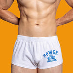 2-pack Men's DM Printed Lettering Low Waist Sexy Cotton Boxer Shorts
