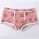 2-pack Men's Mesh Elephant Nose Transparent Boxer Briefs