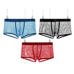 Men's Sexy Transparent Mesh Trunks
