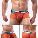 4-pack Men's Low-rise See-through Micro-mesh Pouch Shiny U-convex Wide-edge Boxer Briefs