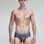 4 Pack Breathable Ice Silk Antibacterial Men's Briefs