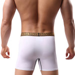 2 Pack Men's Sexy Sports Ice Silk Boxer Briefs