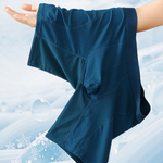 2 Pack Men’s Casual Ice Silk Midway Briefs