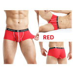 2 Pack Men's Modal Simple Skin-Friendly Trunks