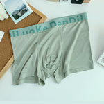 3 Pack Men's Antibacterial Seamless Boxer Briefs