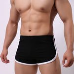 3 Pack Men's Ultra-Soft Cotton Seamless Solid Color Lightweight Trunks