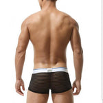 Men's Sexy Transparent Striped Trunks