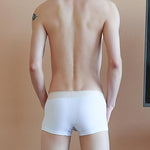 3 Pack Men's Elephant Trunk Separate Cotton Sexy Mid-Rise Solid Color Trunks