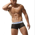 Men's Sexy Transparent Striped Trunks