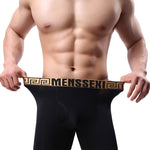 2 Pack Men's Sexy Sports Ice Silk Boxer Briefs