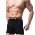 2 Pack Men's Sexy Sports Ice Silk Boxer Briefs