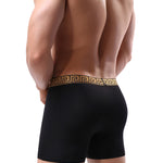 2 Pack Men's Sexy Sports Ice Silk Boxer Briefs