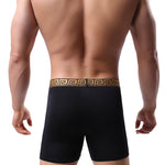 2 Pack Men's Sexy Sports Ice Silk Boxer Briefs
