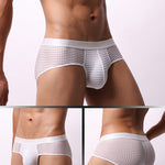 4 Pack Men's Breathable Mesh Solid Sheer & Sexy Wide Waistband Briefs