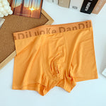3 Pack Men's Antibacterial Seamless Boxer Briefs
