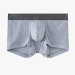 2 Pack Men's Ultra-Soft Premium Pure Cotton Comfy Waistband Seamless Trunks