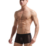 2 Pack Men's Sexy Transparent Mesh Trunks