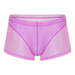 Sexy Panelled Mesh Trunks For Men