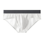 3 Pack Men's Ultra-Soft Breathable Mesh Ice Silk Briefs